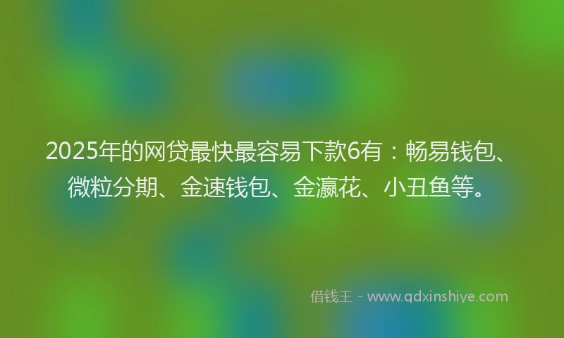 2025年的网贷最快最容易下款6有：畅易钱包、微粒分期、金速钱包、金瀛花、小丑鱼等。