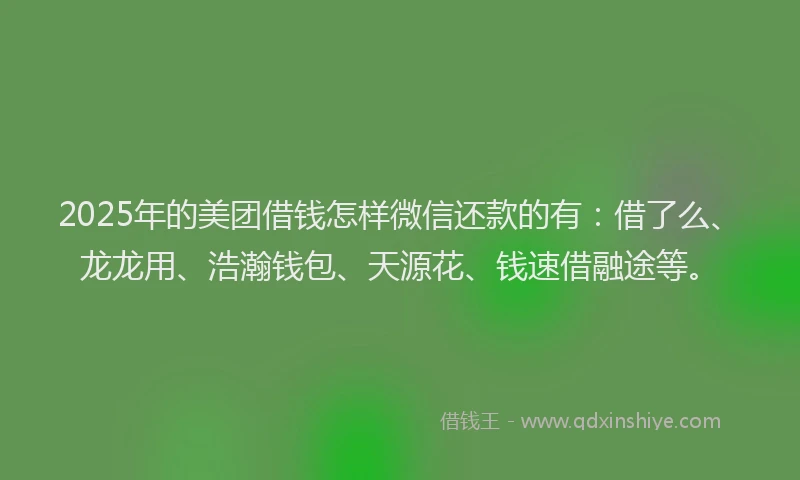 2025年的美团借钱怎样微信还款的有：借了么、龙龙用、浩瀚钱包、天源花、钱速借融途等。