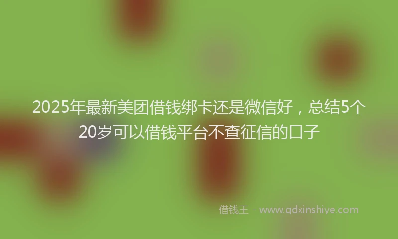 2025年最新美团借钱绑卡还是微信好，总结5个20岁可以借钱平台不查征信的口子
