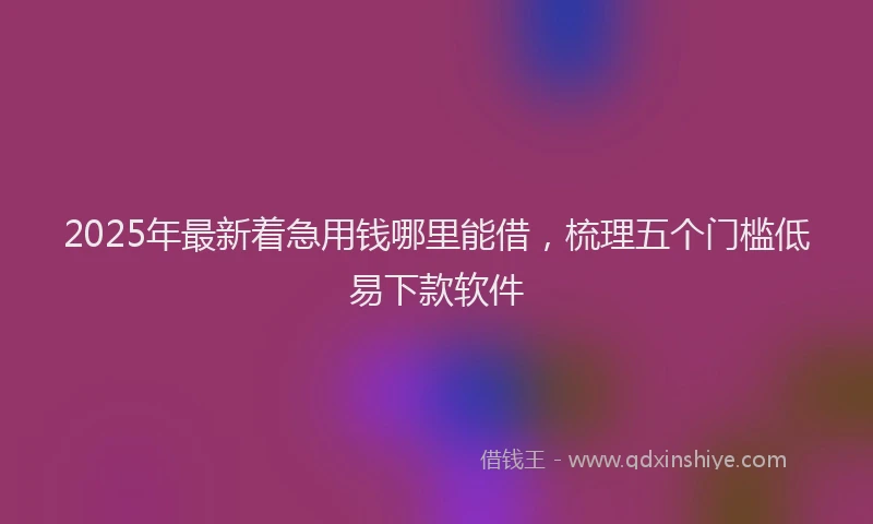 2025年最新着急用钱哪里能借，梳理五个门槛低易下款软件