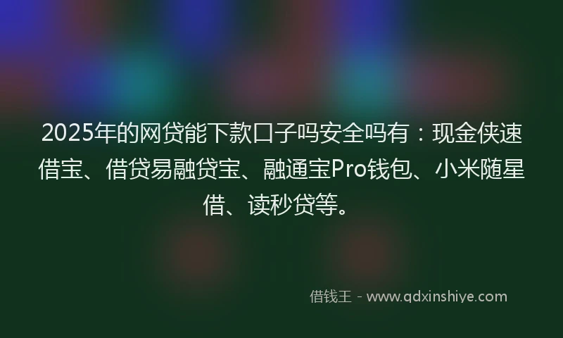2025年的网贷能下款口子吗安全吗有：现金侠速借宝、借贷易融贷宝、融通宝Pro钱包、小米随星借、读秒贷等。