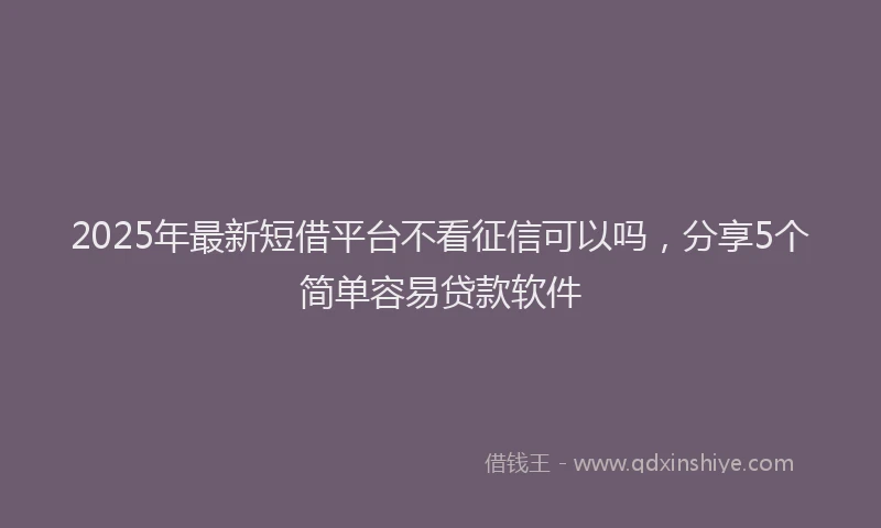 2025年最新短借平台不看征信可以吗，分享5个简单容易贷款软件