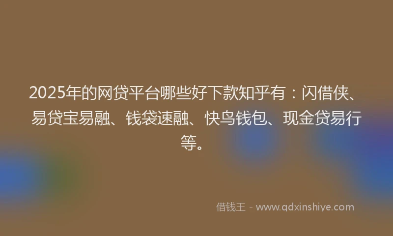2025年的网贷平台哪些好下款知乎有：闪借侠、易贷宝易融、钱袋速融、快鸟钱包、现金贷易行等。