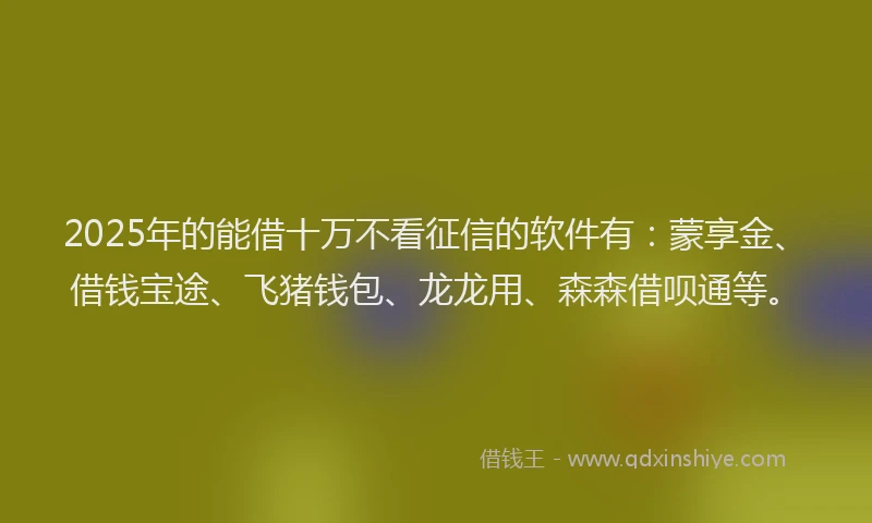 2025年的能借十万不看征信的软件有：蒙享金、借钱宝途、飞猪钱包、龙龙用、森森借呗通等。