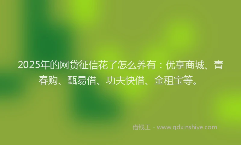 2025年的网贷征信花了怎么养有：优享商城、青春购、甄易借、功夫快借、金租宝等。
