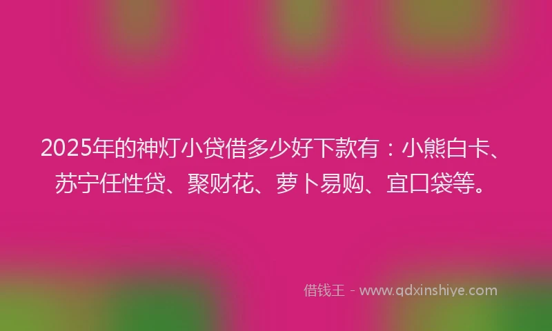 2025年的神灯小贷借多少好下款有：小熊白卡、苏宁任性贷、聚财花、萝卜易购、宜口袋等。