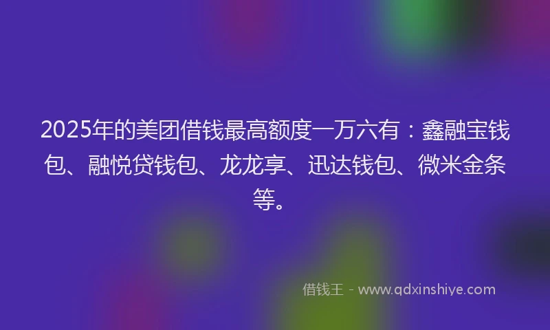 2025年的美团借钱最高额度一万六有：鑫融宝钱包、融悦贷钱包、龙龙享、迅达钱包、微米金条等。