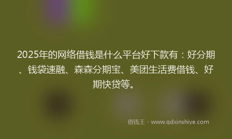 2025年的网络借钱是什么平台好下款有：好分期、钱袋速融、森森分期宝、美团生活费借钱、好期快贷等。