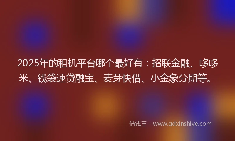2025年的租机平台哪个最好有：招联金融、哆哆米、钱袋速贷融宝、麦芽快借、小金象分期等。