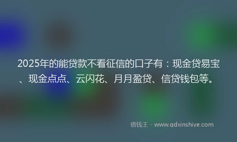 2025年的能贷款不看征信的口子有：现金贷易宝、现金点点、云闪花、月月盈贷、信贷钱包等。