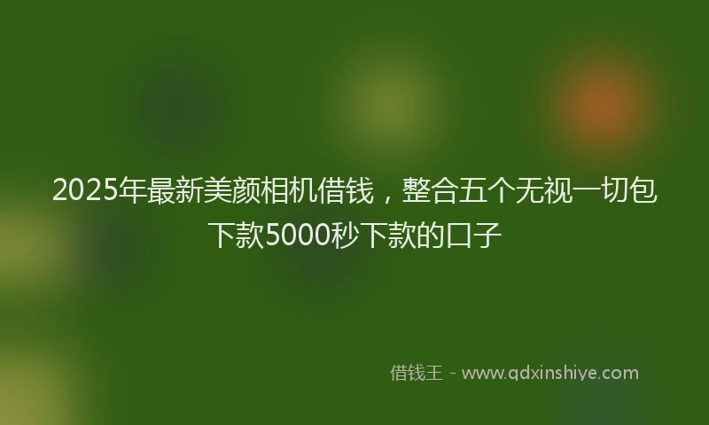 2025年最新美颜相机借钱，整合五个无视一切包下款5000秒下款的口子