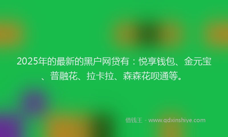 2025年的最新的黑户网贷有：悦享钱包、金元宝、普融花、拉卡拉、森森花呗通等。