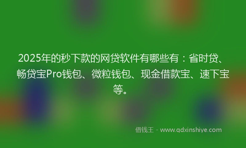 2025年的秒下款的网贷软件有哪些有：省时贷、畅贷宝Pro钱包、微粒钱包、现金借款宝、速下宝等。
