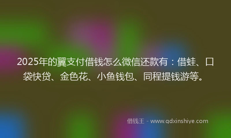 2025年的翼支付借钱怎么微信还款有：借蛙、口袋快贷、金色花、小鱼钱包、同程提钱游等。