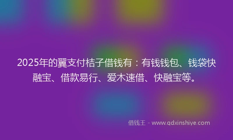 2025年的翼支付桔子借钱有：有钱钱包、钱袋快融宝、借款易行、爱木速借、快融宝等。