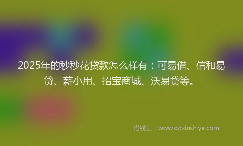 2025年的秒秒花贷款怎么样有：可易借、信和易贷、薪小用、招宝商城、沃易贷等。