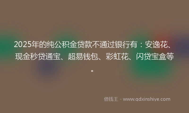 2025年的纯公积金贷款不通过银行有：安逸花、现金秒贷通宝、超易钱包、彩虹花、闪贷宝盒等。