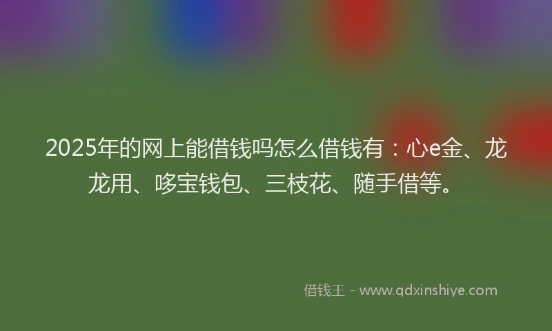 2025年的网上能借钱吗怎么借钱有：心e金、龙龙用、哆宝钱包、三枝花、随手借等。