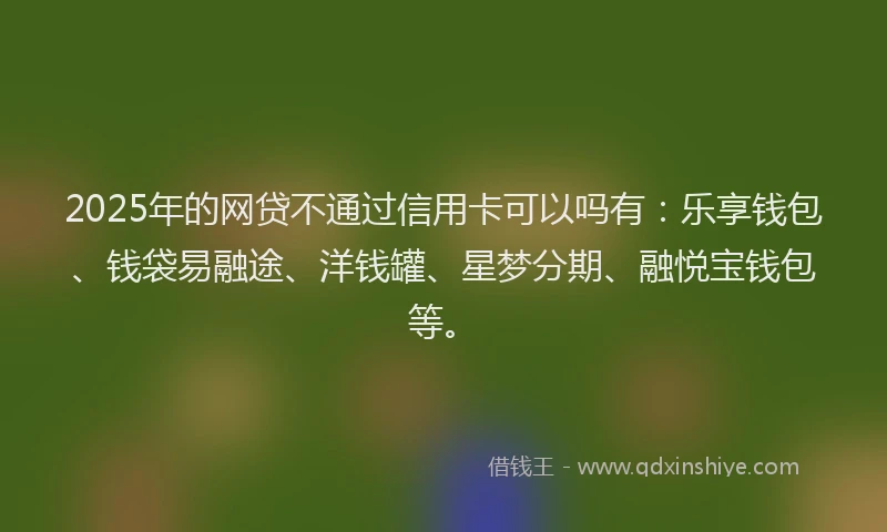 2025年的网贷不通过信用卡可以吗有：乐享钱包、钱袋易融途、洋钱罐、星梦分期、融悦宝钱包等。