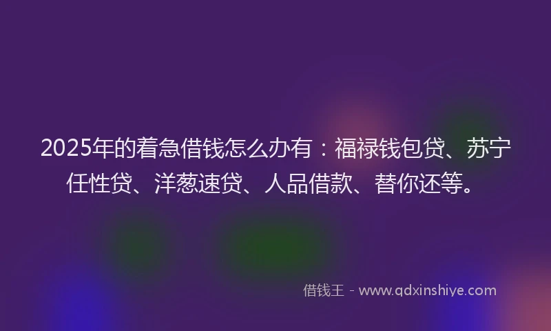2025年的着急借钱怎么办有：福禄钱包贷、苏宁任性贷、洋葱速贷、人品借款、替你还等。