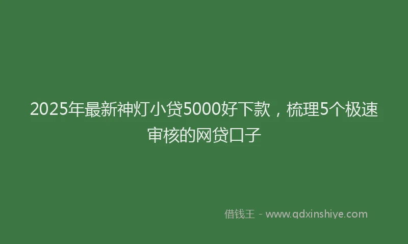 2025年最新神灯小贷5000好下款，梳理5个极速审核的网贷口子