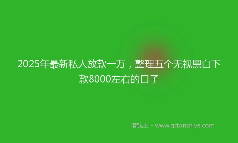 2025年最新私人放款一万，整理五个无视黑白下款8000左右的口子