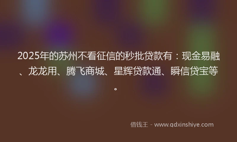 2025年的苏州不看征信的秒批贷款有：现金易融、龙龙用、腾飞商城、星辉贷款通、瞬信贷宝等。