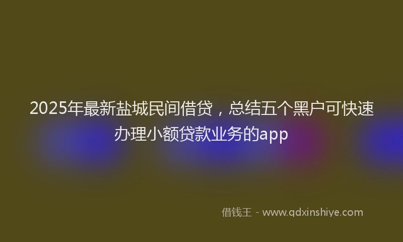 2025年最新盐城民间借贷，总结五个黑户可快速办理小额贷款业务的app