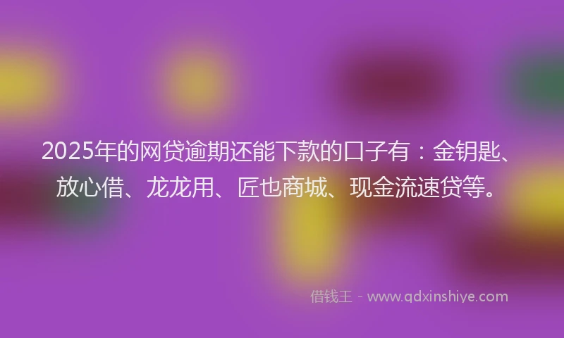 2025年的网贷逾期还能下款的口子有：金钥匙、放心借、龙龙用、匠也商城、现金流速贷等。
