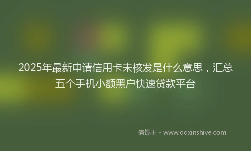 2025年最新申请信用卡未核发是什么意思，汇总五个手机小额黑户快速贷款平台