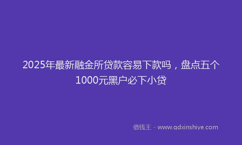 2025年最新融金所贷款容易下款吗，盘点五个1000元黑户必下小贷