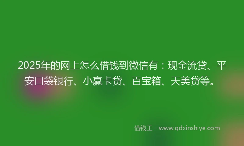 2025年的网上怎么借钱到微信有：现金流贷、平安口袋银行、小赢卡贷、百宝箱、天美贷等。