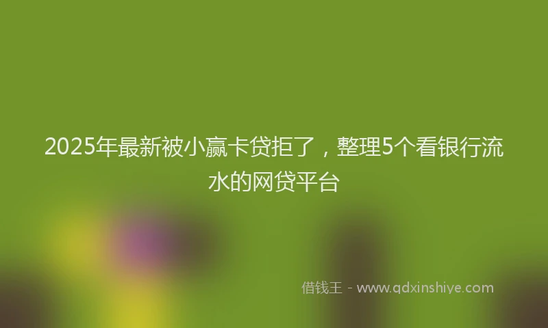 2025年最新被小赢卡贷拒了，整理5个看银行流水的网贷平台