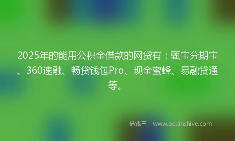 2025年的能用公积金借款的网贷有：甄宝分期宝、360速融、畅贷钱包Pro、现金蜜蜂、易融贷通等。