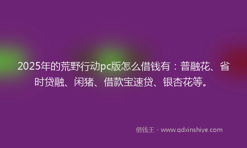 2025年的荒野行动pc版怎么借钱有：普融花、省时贷融、闲猪、借款宝速贷、银杏花等。