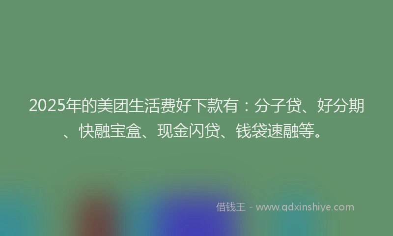 2025年的美团生活费好下款有：分子贷、好分期、快融宝盒、现金闪贷、钱袋速融等。