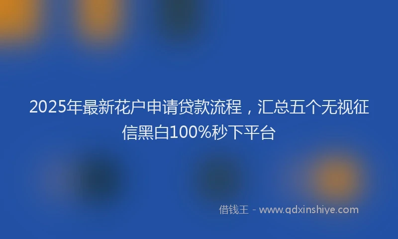 2025年最新花户申请贷款流程，汇总五个无视征信黑白100%秒下平台
