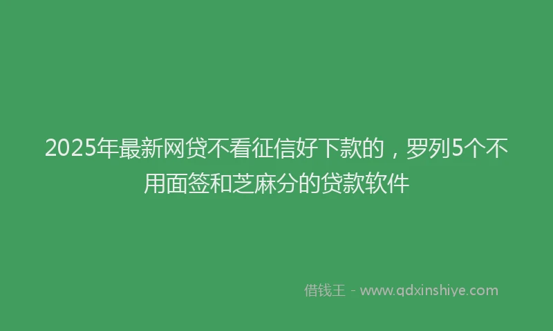 2025年最新网贷不看征信好下款的，罗列5个不用面签和芝麻分的贷款软件