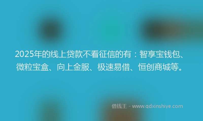 2025年的线上贷款不看征信的有：智享宝钱包、微粒宝盒、向上金服、极速易借、恒创商城等。