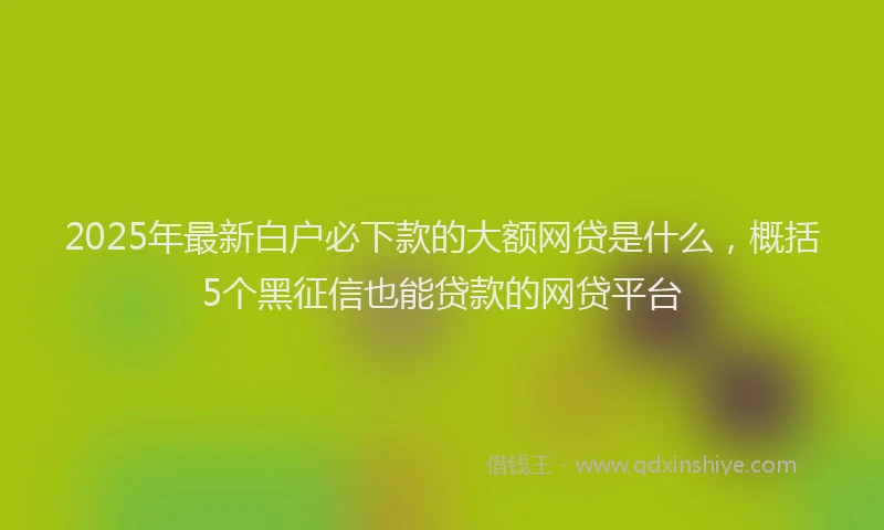 2025年最新白户必下款的大额网贷是什么，概括5个黑征信也能贷款的网贷平台