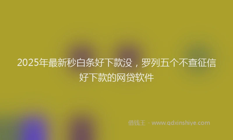 2025年最新秒白条好下款没，罗列五个不查征信好下款的网贷软件