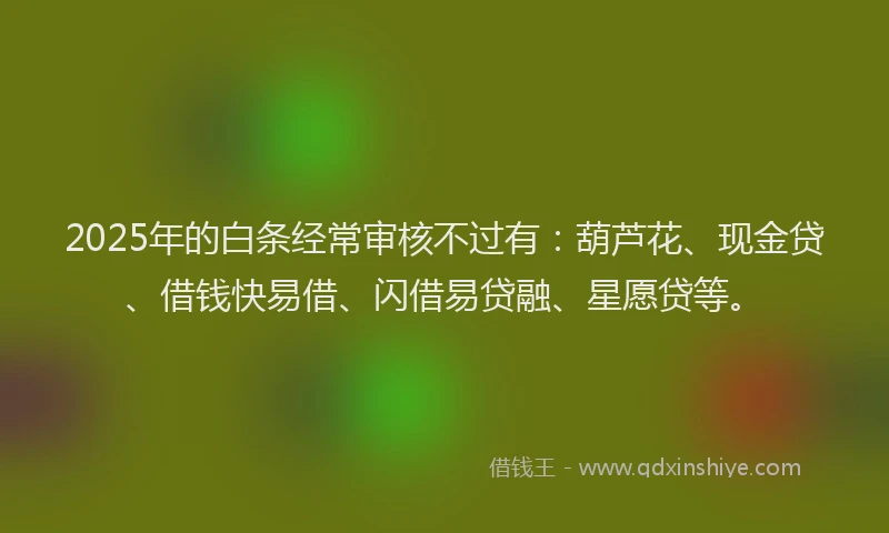 2025年的白条经常审核不过有：葫芦花、现金贷、借钱快易借、闪借易贷融、星愿贷等。