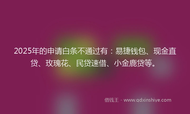 2025年的申请白条不通过有：易捷钱包、现金直贷、玫瑰花、民贷速借、小金鹿贷等。