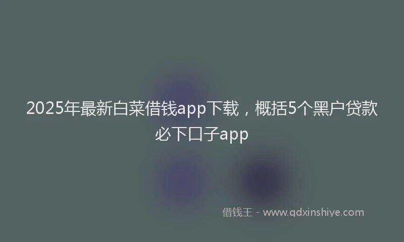 2025年最新白菜借钱app下载，概括5个黑户贷款必下口子app