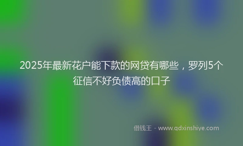 2025年最新花户能下款的网贷有哪些，罗列5个征信不好负债高的口子