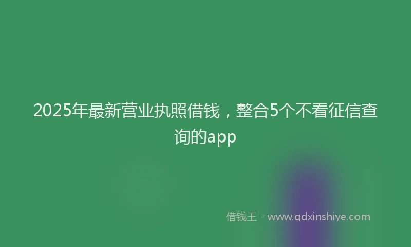 2025年最新营业执照借钱，整合5个不看征信查询的app