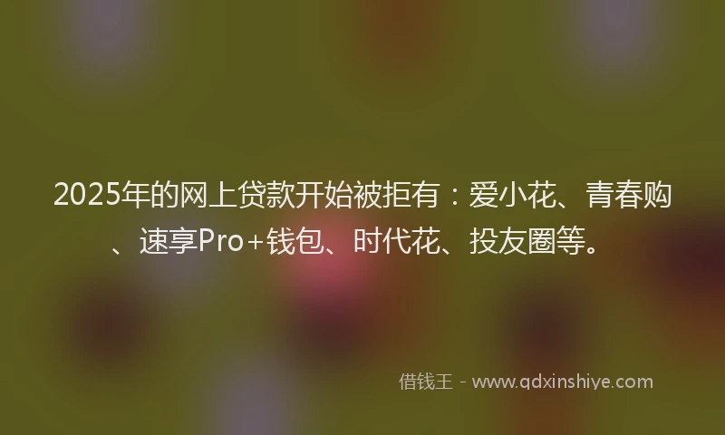 2025年的网上贷款开始被拒有：爱小花、青春购、速享Pro+钱包、时代花、投友圈等。