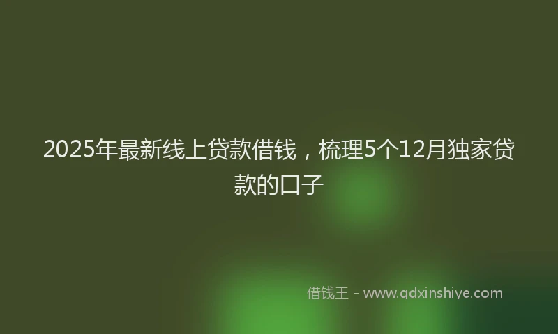 2025年最新线上贷款借钱，梳理5个12月独家贷款的口子
