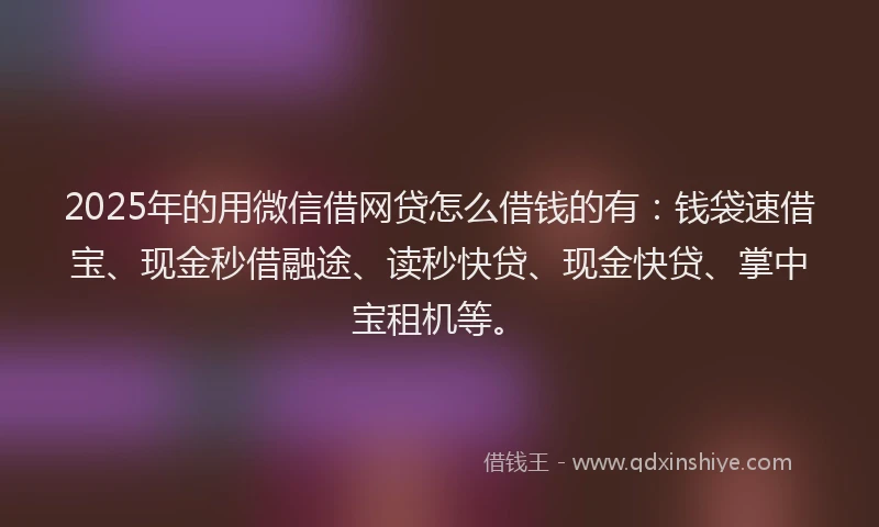 2025年的用微信借网贷怎么借钱的有：钱袋速借宝、现金秒借融途、读秒快贷、现金快贷、掌中宝租机等。