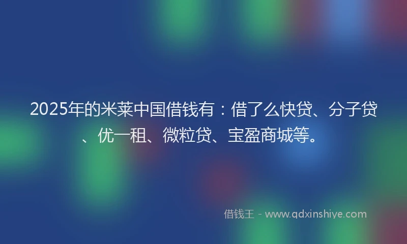 2025年的米莱中国借钱有：借了么快贷、分子贷、优一租、微粒贷、宝盈商城等。